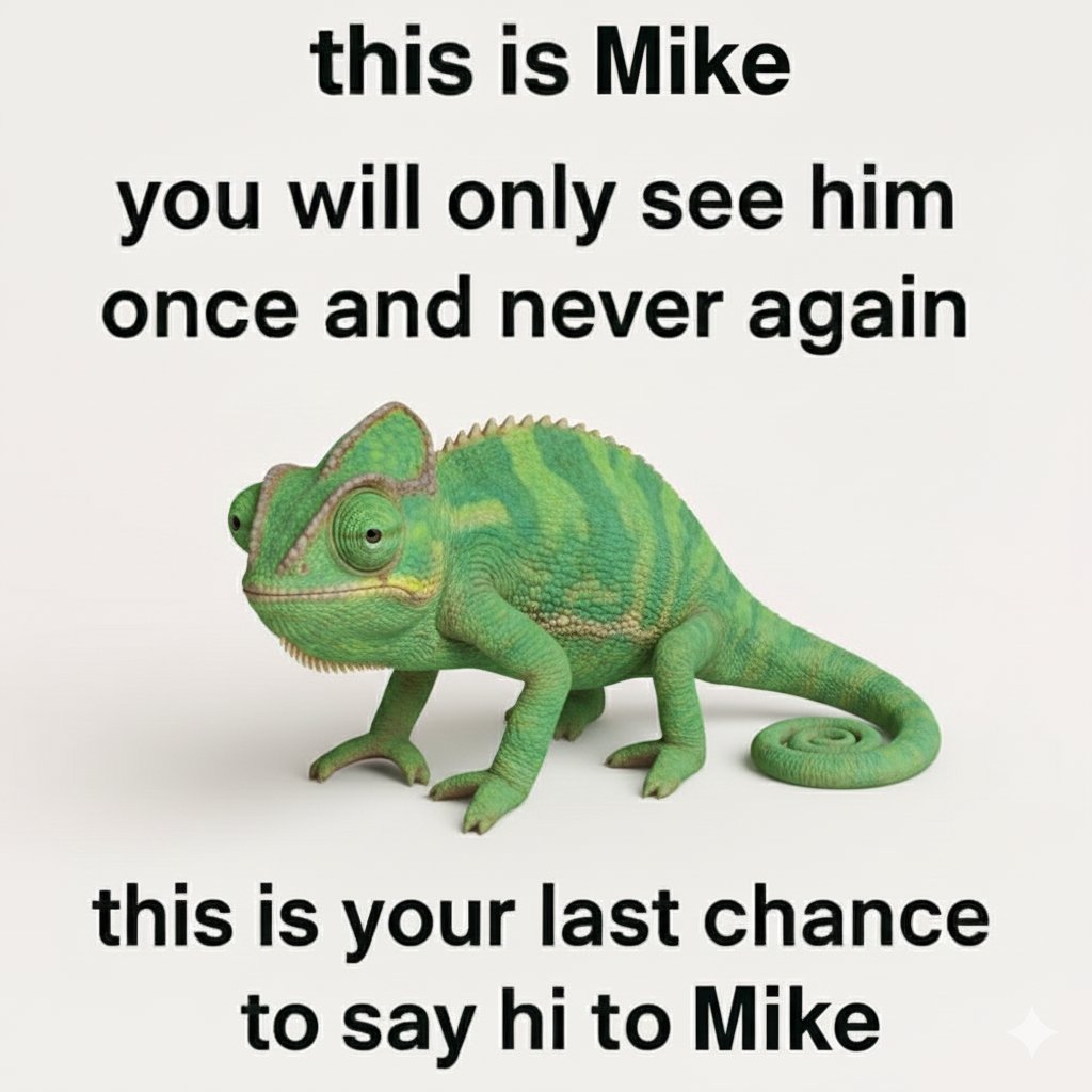 aani (@comfortcske) on Twitter photo 