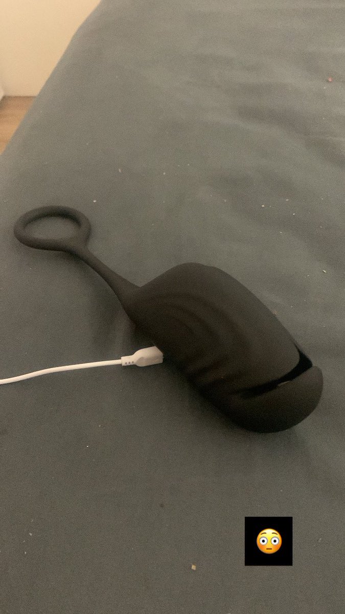 Gavin 🐕🐕🐄 tweet media