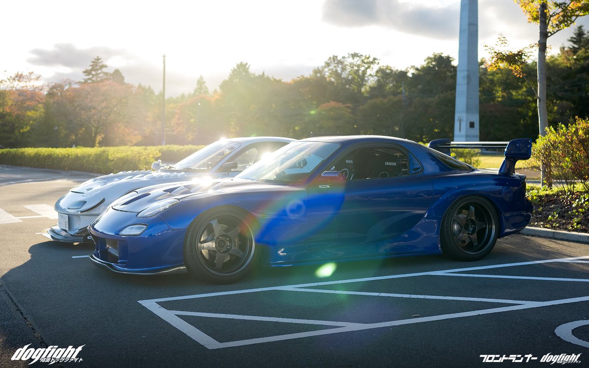 いなぴょん🐇 (@inpyn_fd) / Posts / X