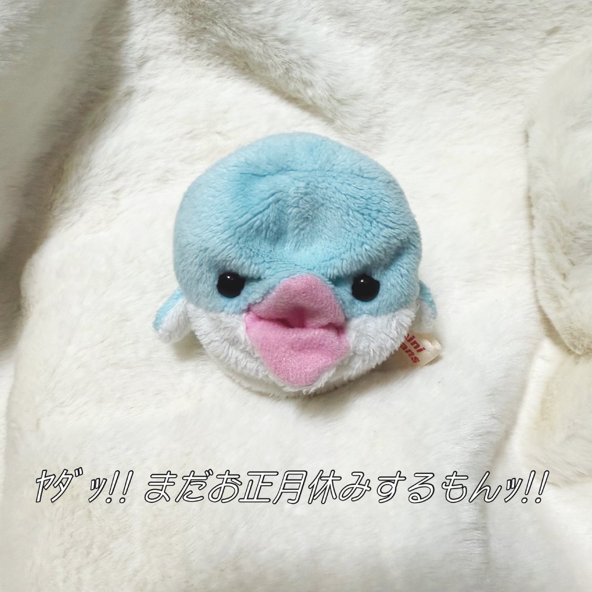 もう終わりだよ〜