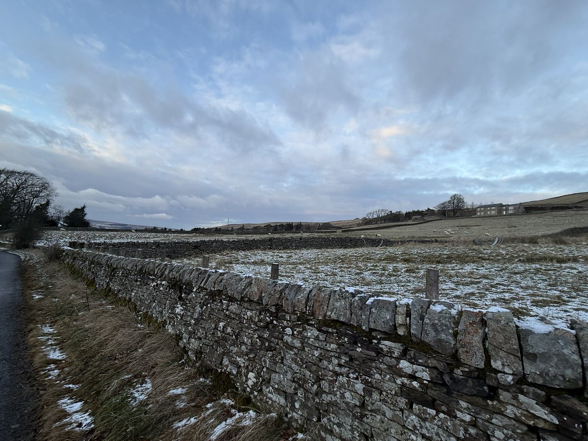 Matt Dechaine ❄️🦩 tweet media