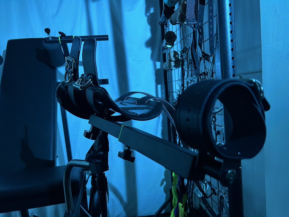 Salk 极老师 tweet media