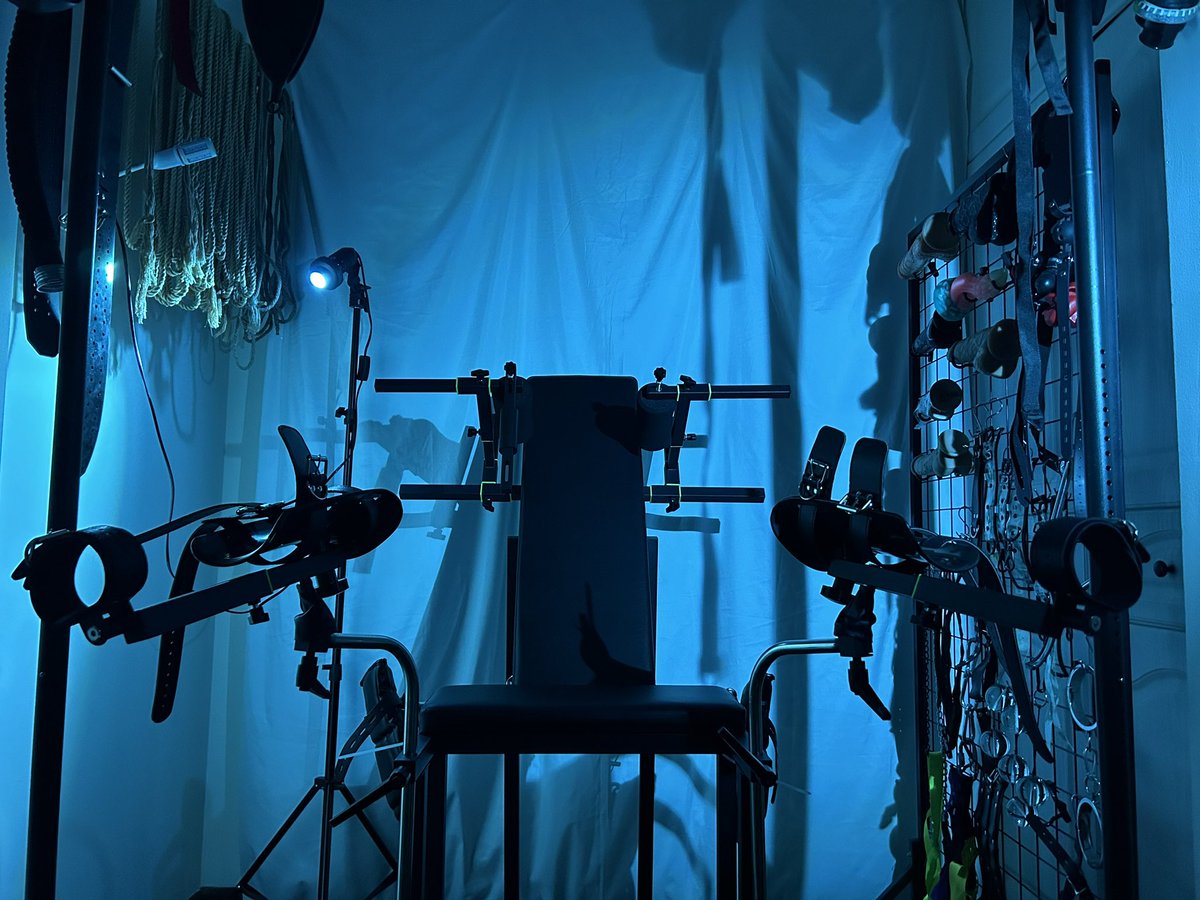 Salk 极老师 tweet media