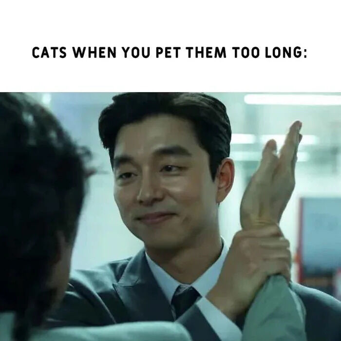 WholesomeMeme's tweet image. 