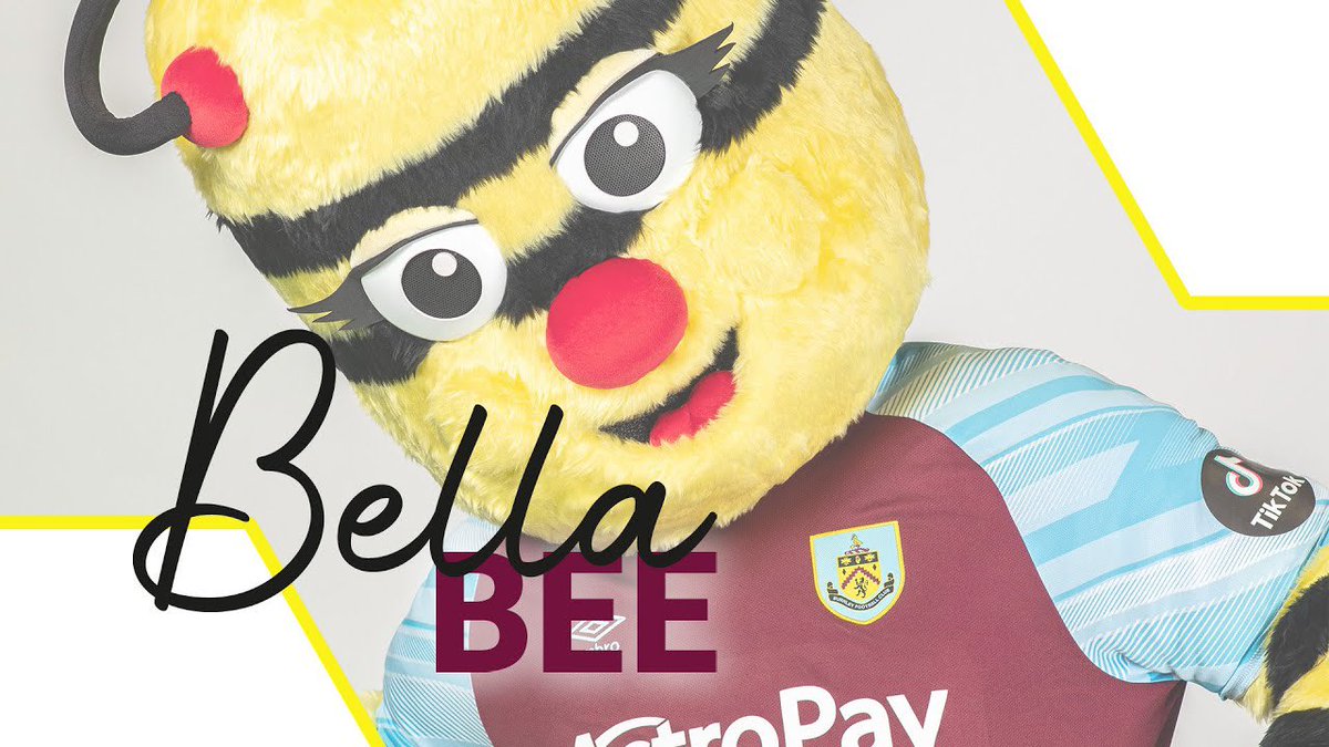 You are NOT safe either Bella Bee, you’ve had a negative impact on this club from the beginning. You have single handedly turned us into a yoyo club. Resign with immediate effect.