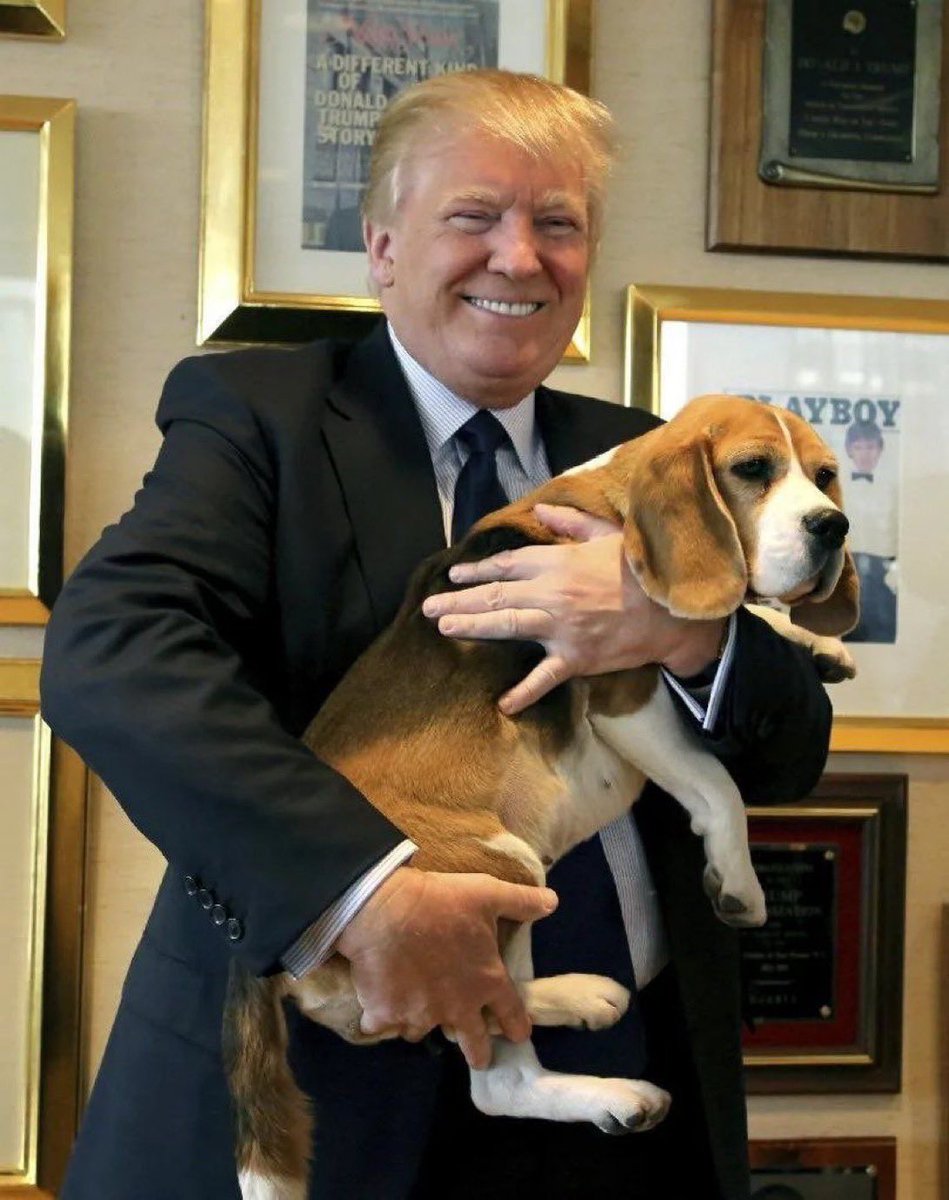 Ben the Beagle Community on X - 1.2K Members