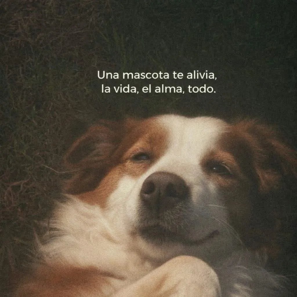 Enséñame de Ciencia tweet media