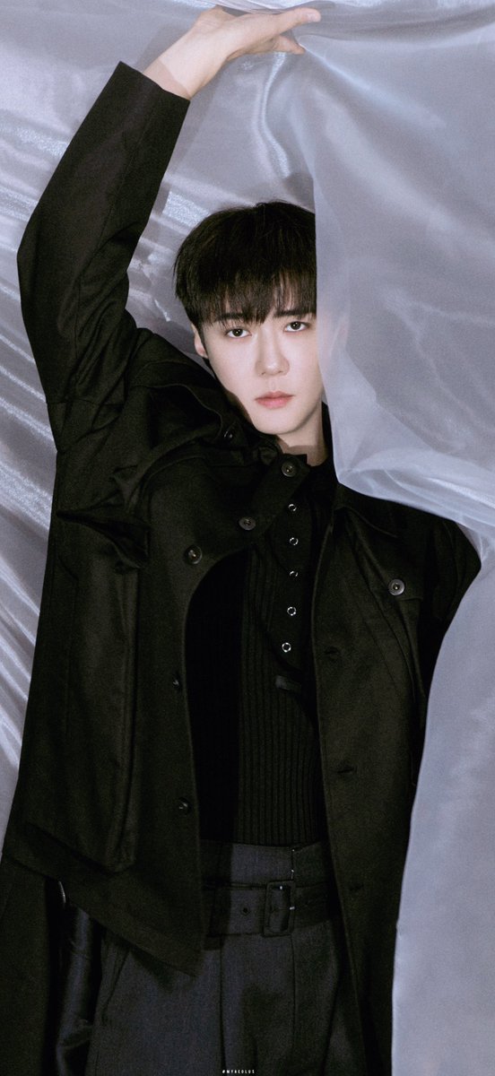 ᴀᴇᴏʟᴜs tweet media