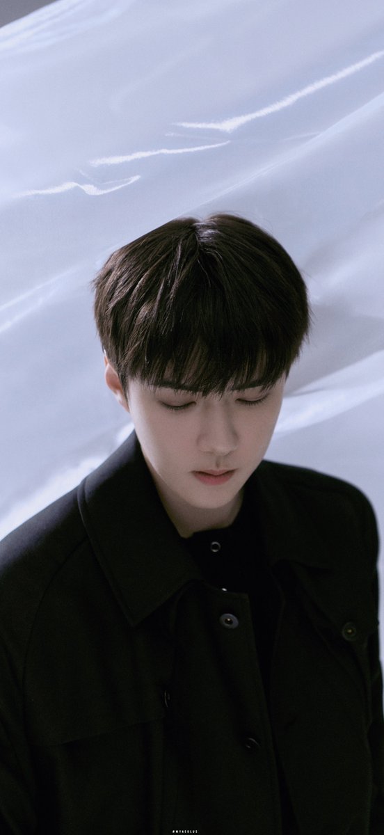 ᴀᴇᴏʟᴜs tweet media