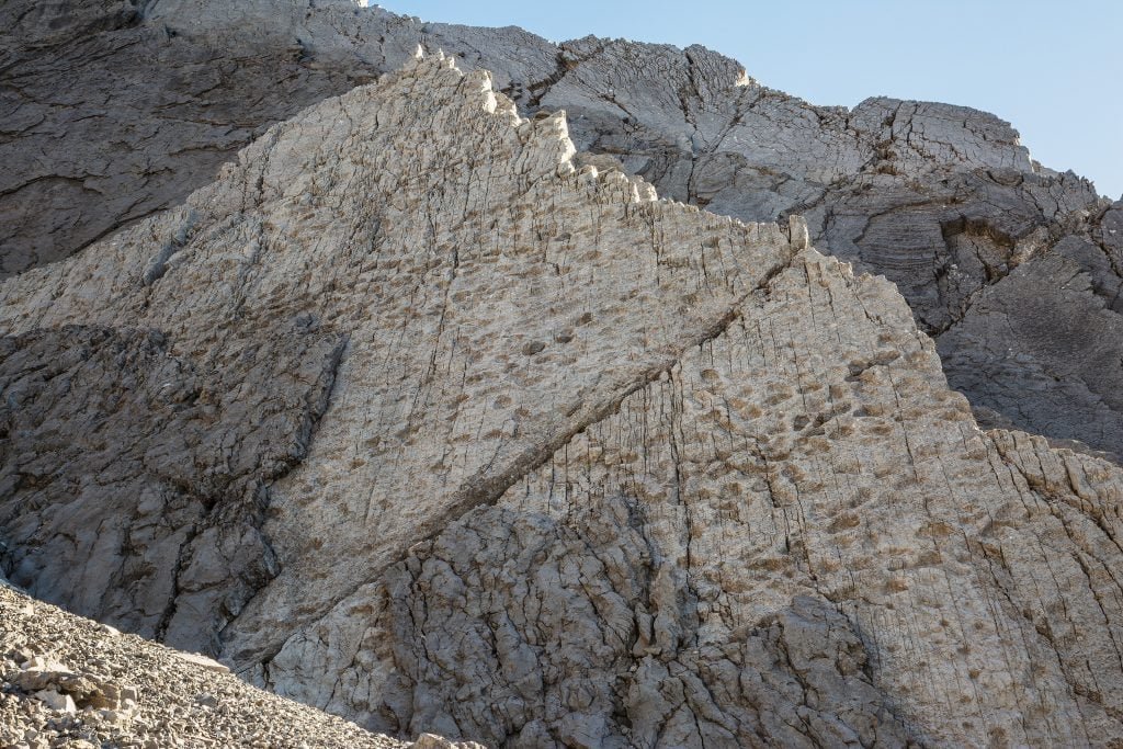 Ritholtz's tweet image. A wildlife photographer who was exploring a remote pocket of the Italian Alps has discovered thousands of dinosaur footprints preserved in the vertical face of a mountainside.    

news.artnet.com/art-world/dino…