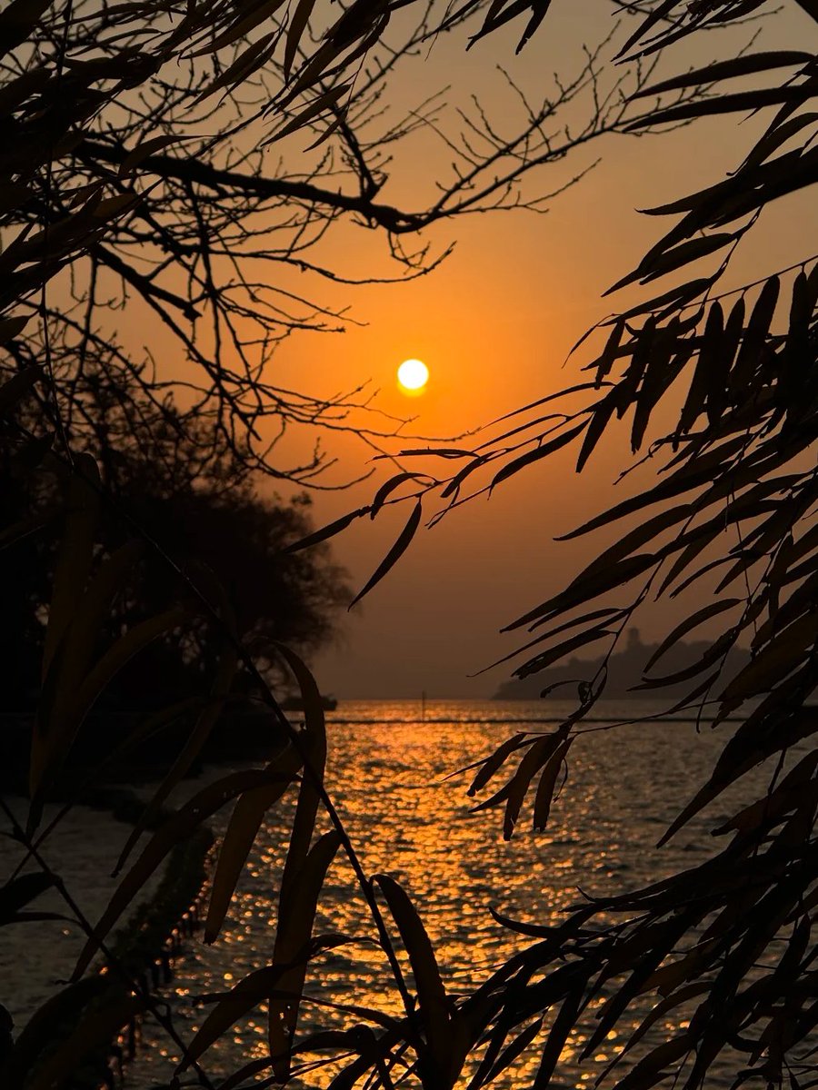 XTuvrf's tweet image. 過去に執着せず、今この瞬間を大切にする。