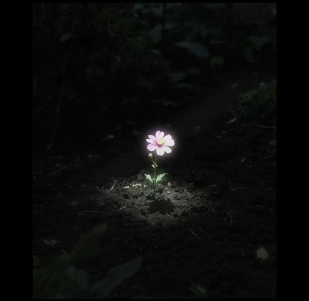 ahir zamanda, güzel ahlak ve imanlı bir kimse bulmak çöl ortasında açan bir çiçek bulmak gibidir