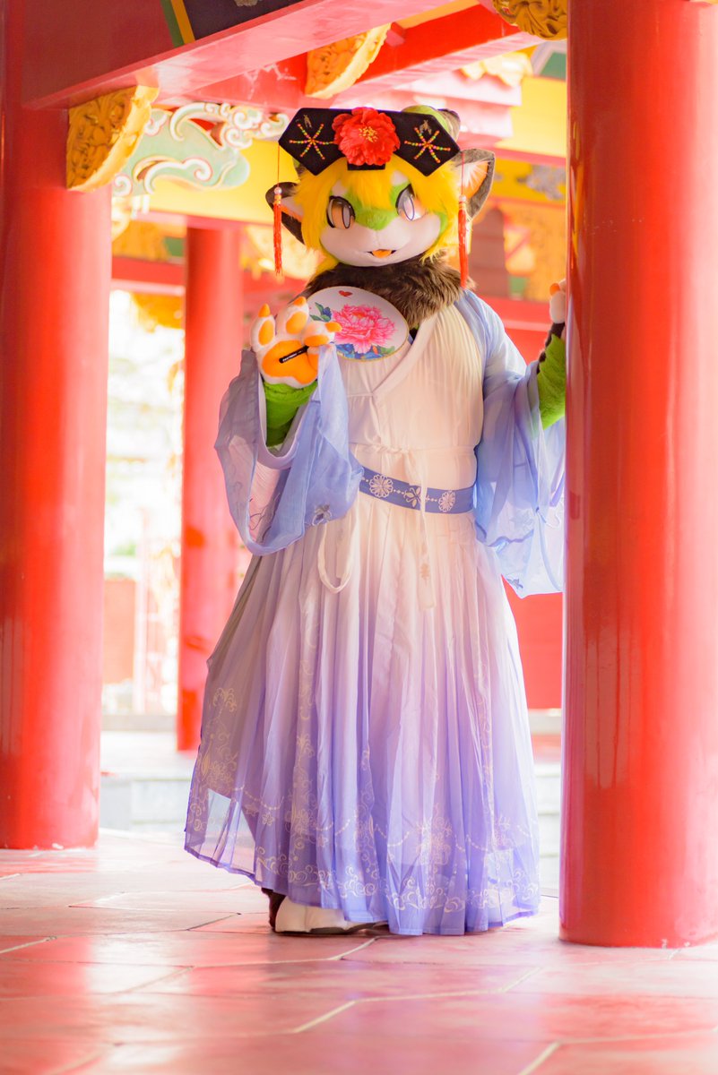 ⭐️ sayaです。 さやさん6周年になりました🦭🌱