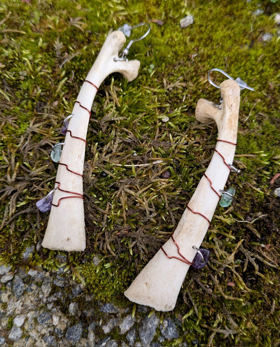 daddysauron_'s tweet image. I'll do another because work will be boring today 
✧･ﾟ: *✧･ﾟ:*

❀ 30 / 18+
❀ anime
❀ nature / oddities 
❀ the lord of the rings 
❀ horror
❀ I make jewelry out of bones 
#mootshunt #promotwt