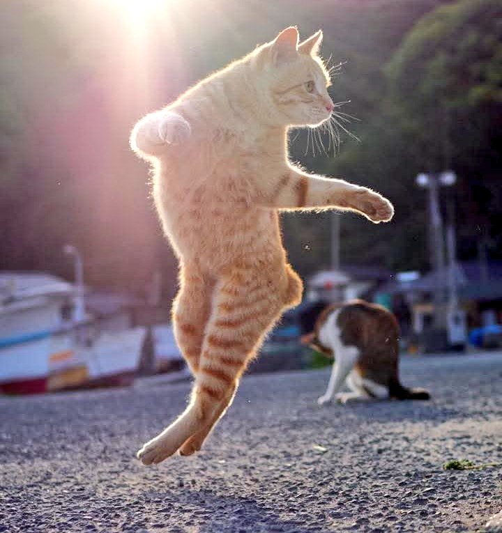 AlberrtoRM2's tweet image. Rodrygo                                Gonzalo