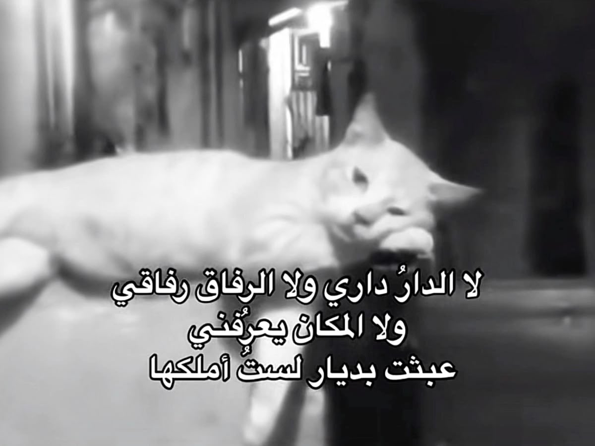 ,٫، (@_iilvel) on Twitter photo 