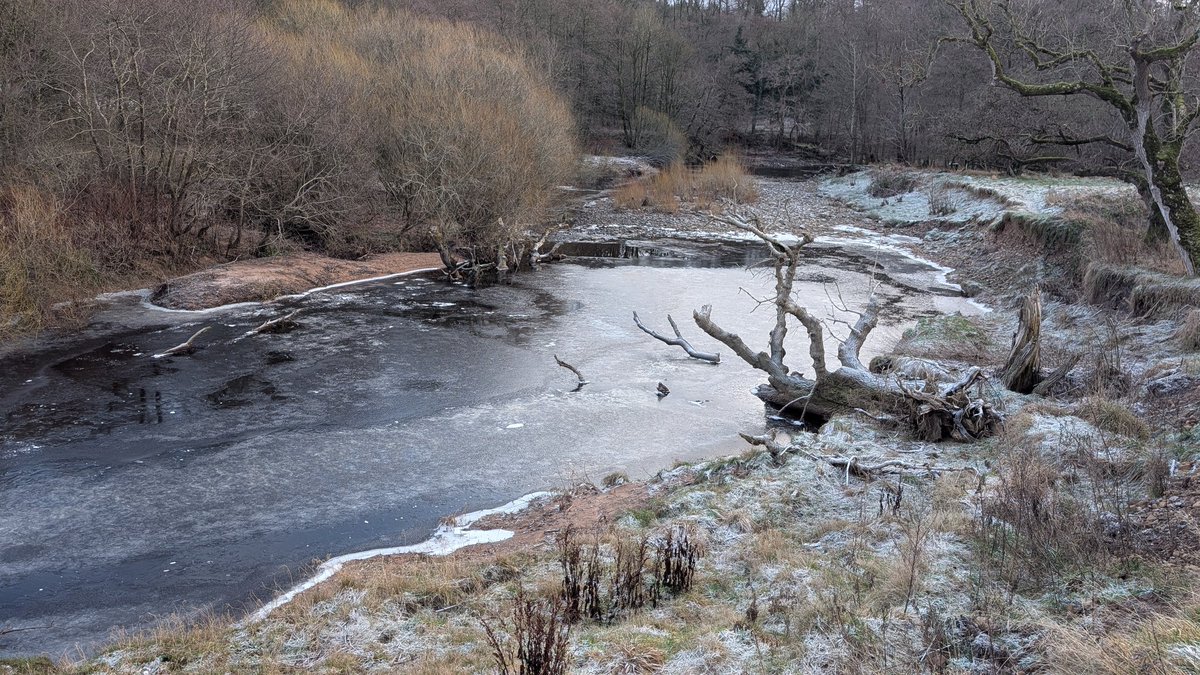 pacrabtree's tweet photo. A Cold walk along the River Irthing at Lanercost, ice starting to form now on the river. #Lanercost #Brampton #Cumbria https://t.co/ckrsH3Hrxg