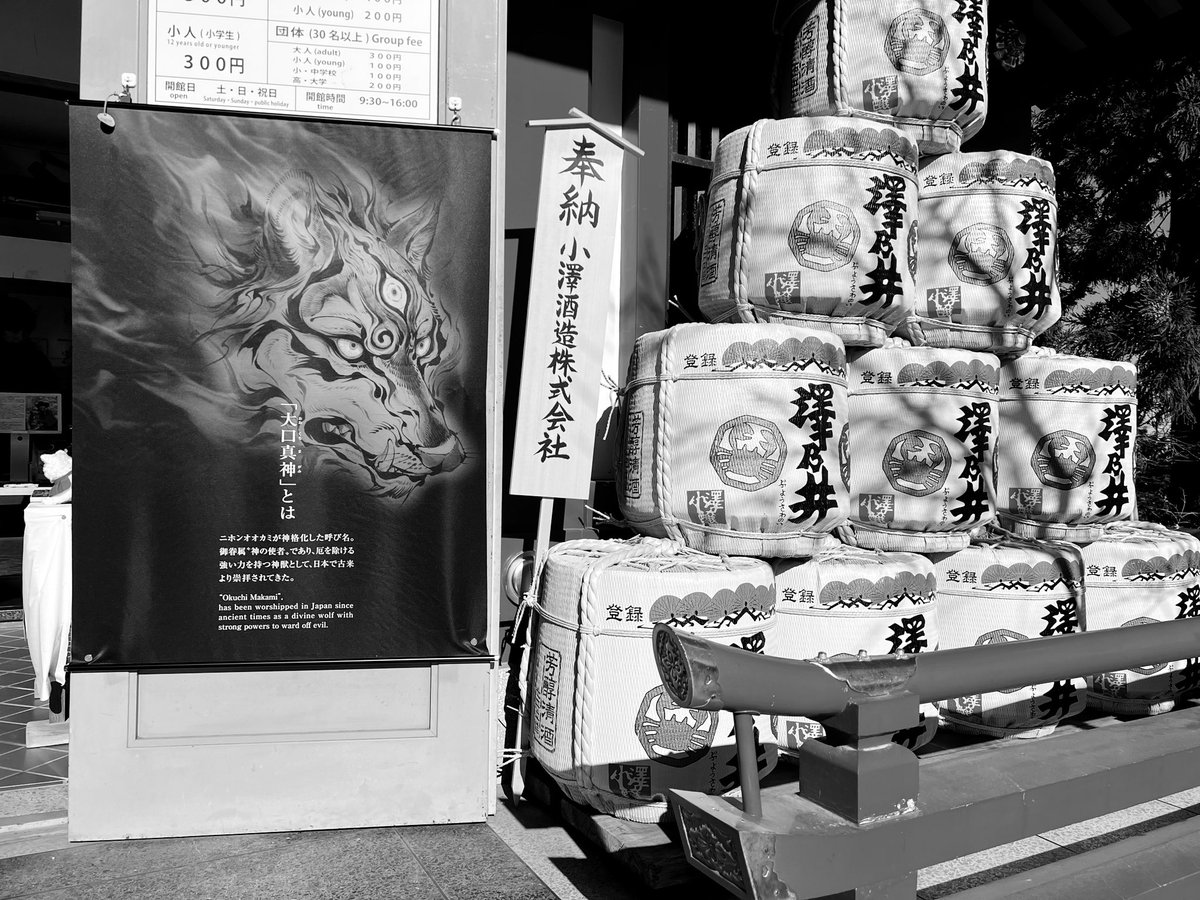 MUTTASAUR tweet media