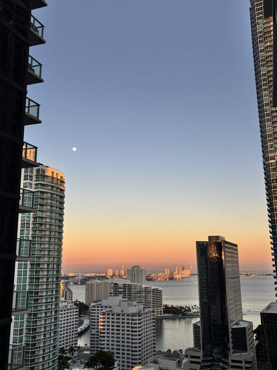 ham__will's tweet image. Life is good. Going to work on growing this page in 2026. 

Fitness twitter &amp;gt; Instagram

Shoutout @nolimit_luke_ @user_mm_ @DeanTTraining for putting me onto this space