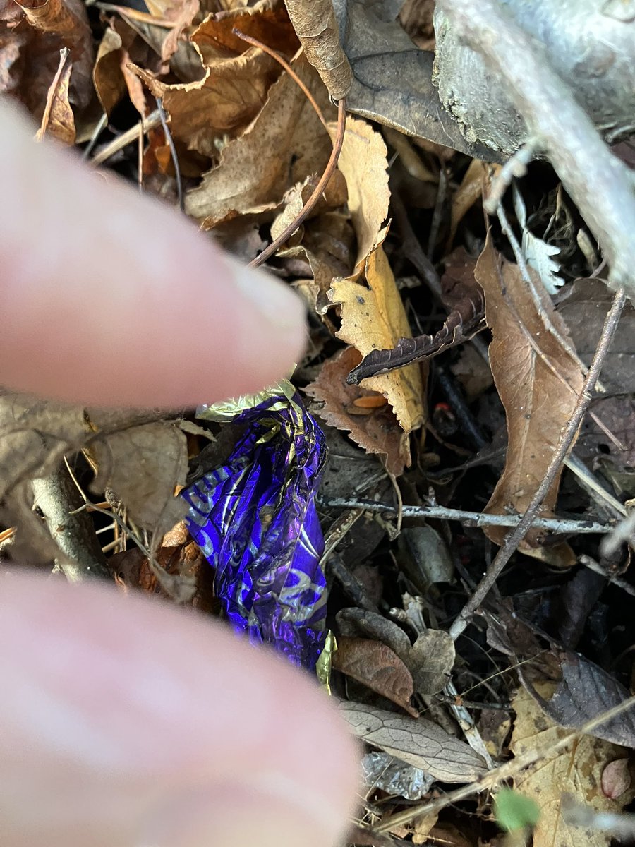 @_pickuplitter tweet media