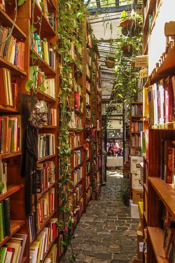 piebookstan's tweet photo. ⋆⭒˚｡⋆livros lidos em 2026 ⋆⭒˚｡⋆
                   ࣪⋆ 𐙚  a thread https://t.co/m0olJOFNwL