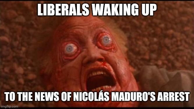 51marine1's tweet image. It's hilarious to watch them