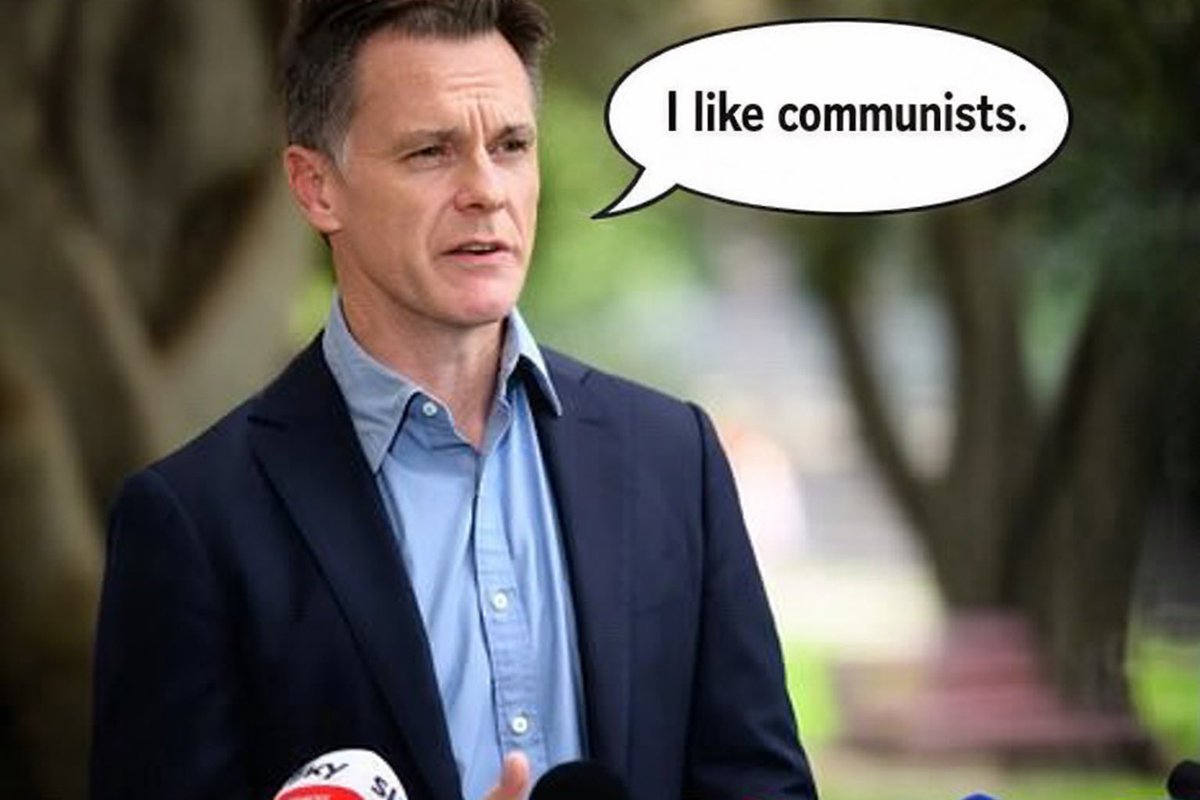 Scotty Chal tweet media