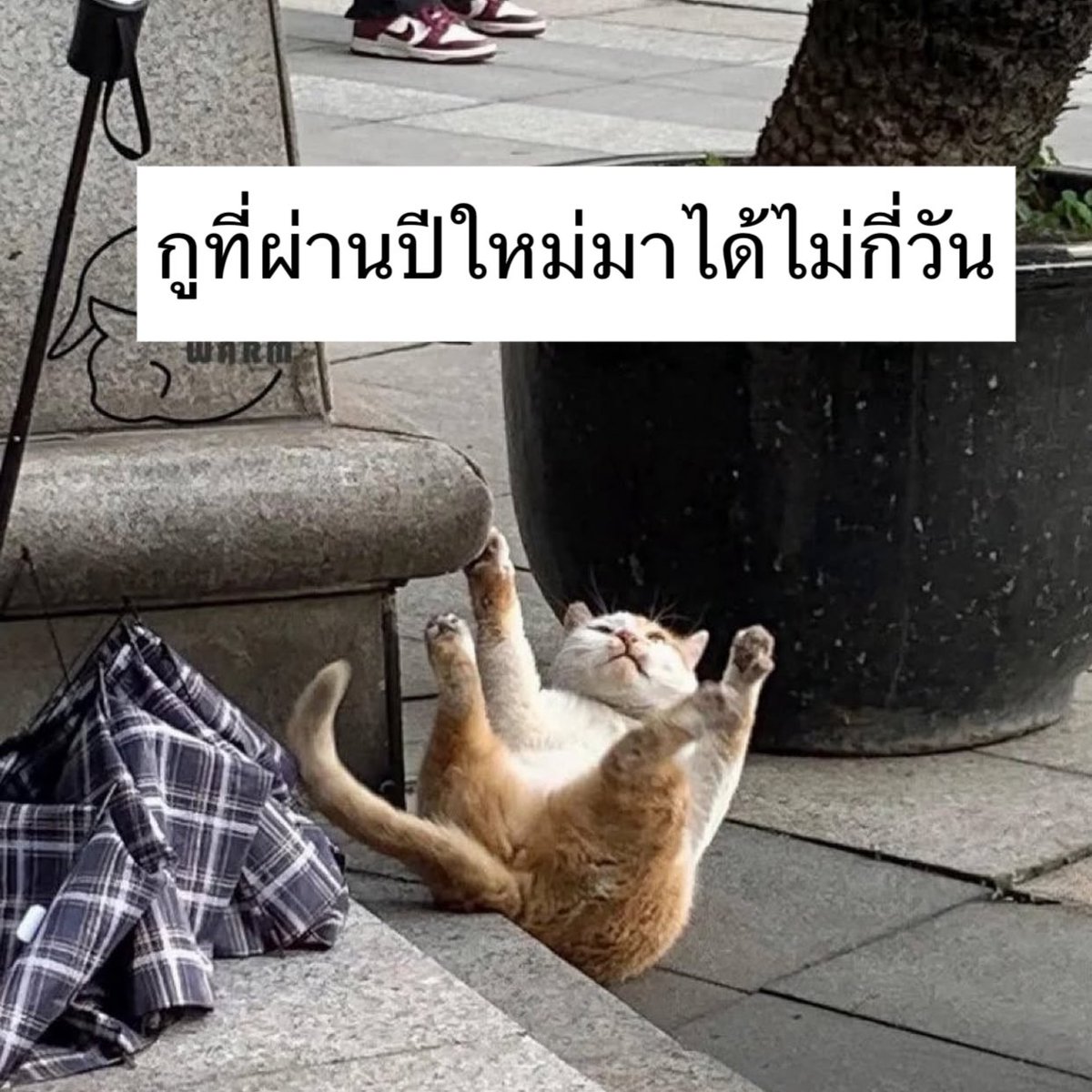 bbigkachu's tweet image. 55555555555555555