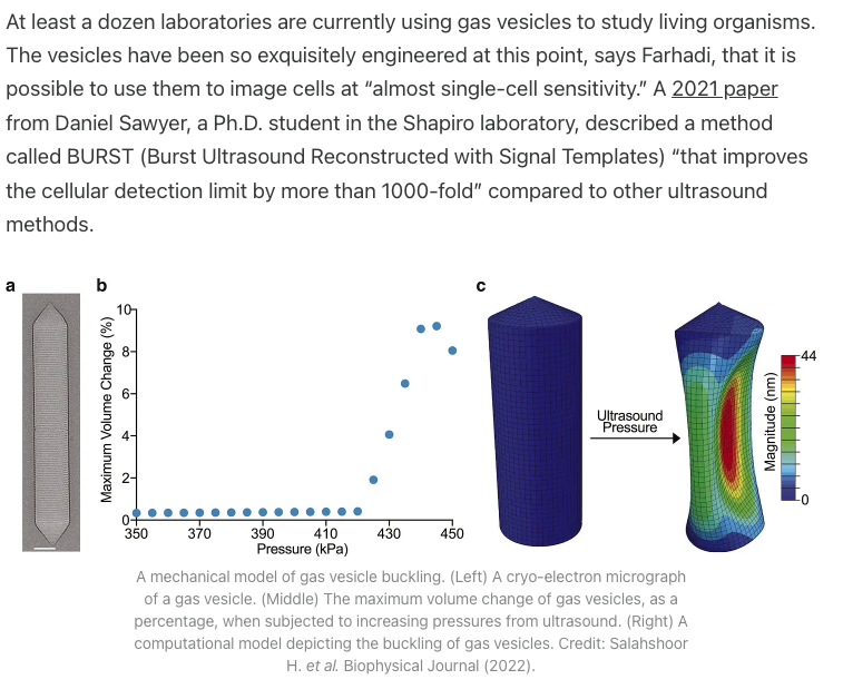 Niko McCarty. tweet media