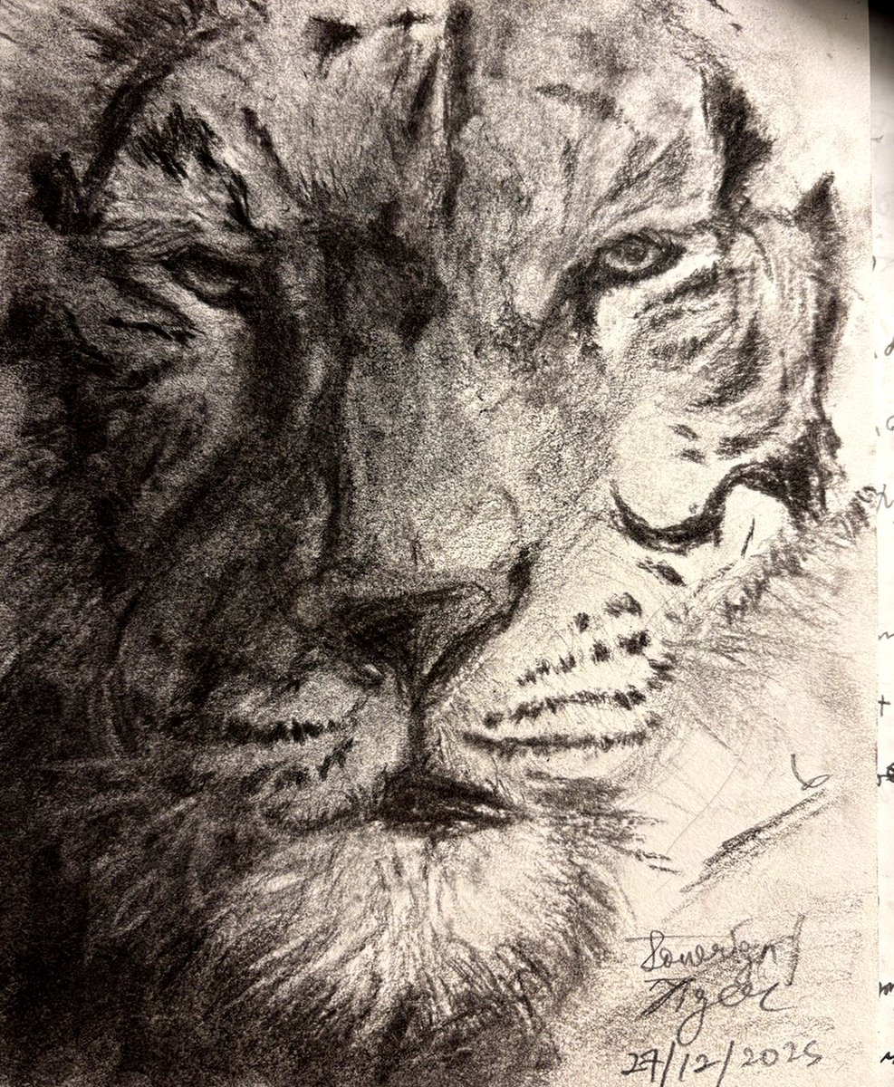 Sovereign Tiger tweet media