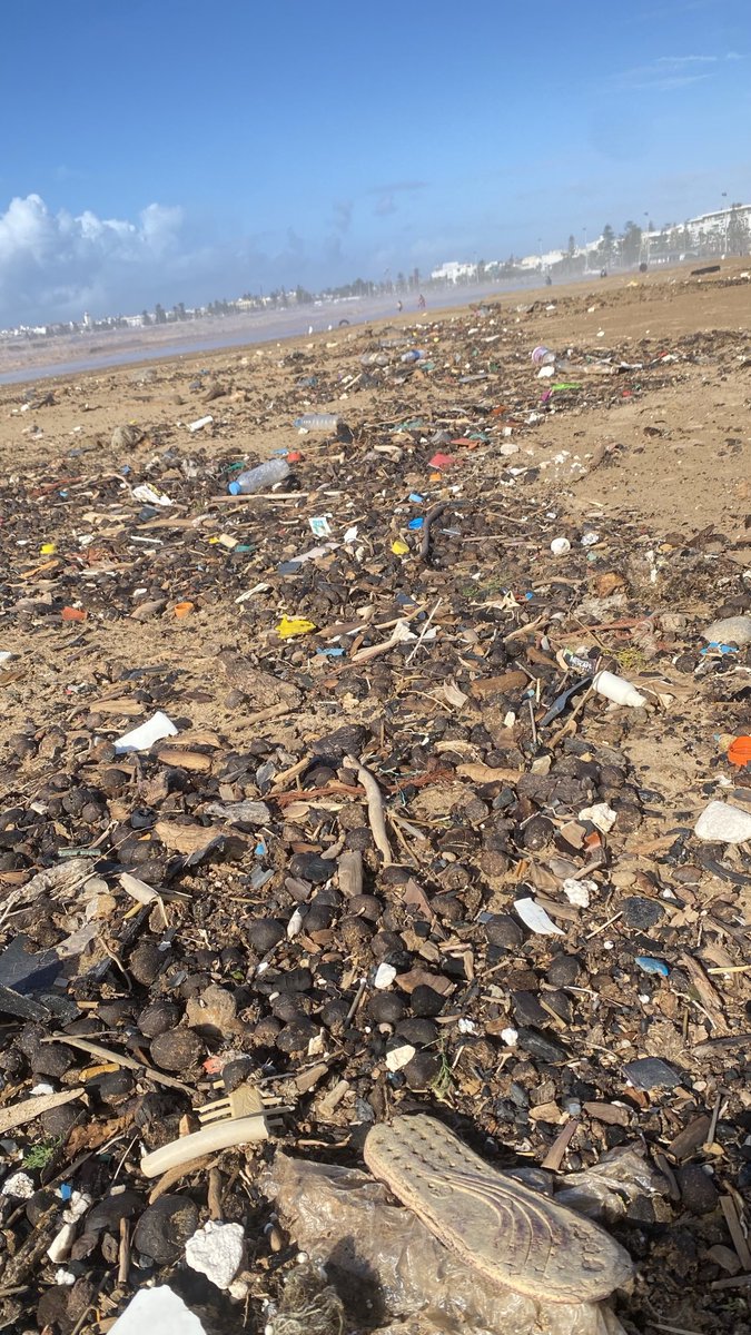 AnimalElsa's tweet image. Nice Beach 😵‍💫#garbage