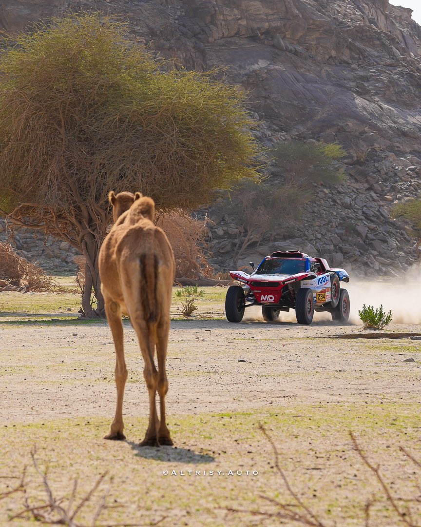 altrisy8's tweet photo. @dakar #داكار2026 #داكار_السعودية #داكار #dakar #Dakar2026 #DakarInSaudi #dakarrally #رالي_داكار2026 https://t.co/ah3BkvbDDq