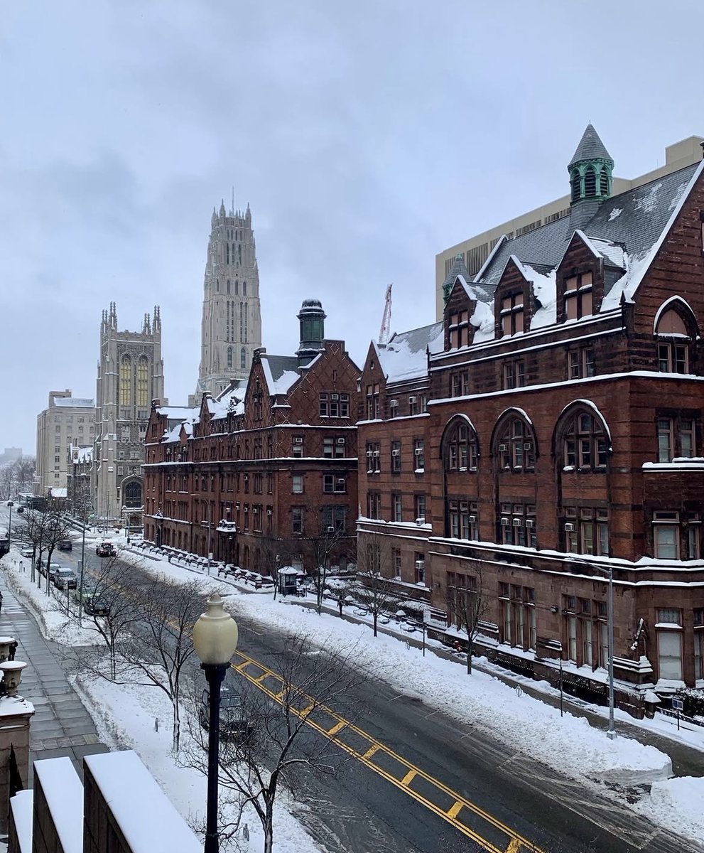 TeachersCollege's tweet photo. Stay cozy, friends. ❄️ #TCWay https://t.co/obUTlMZxzH