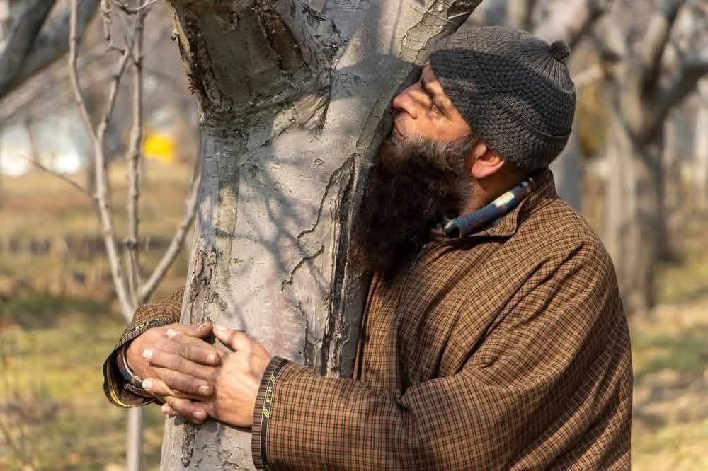 Shahid Hussain Rather tweet media