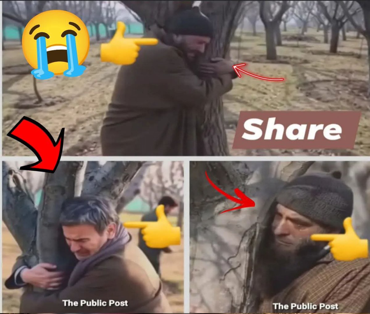 Shahid Hussain Rather tweet media