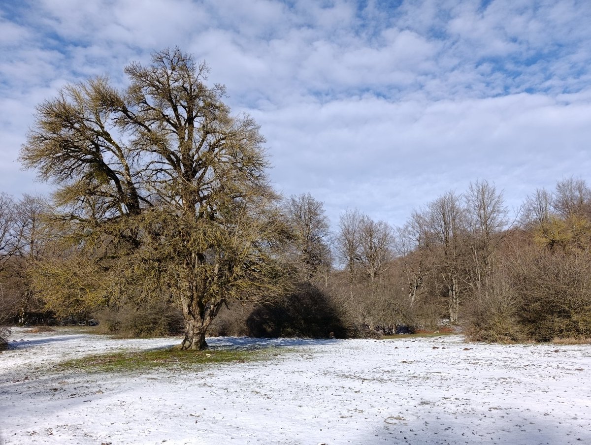 Mucho frioooooooooo en #LaOficinaDeHoy