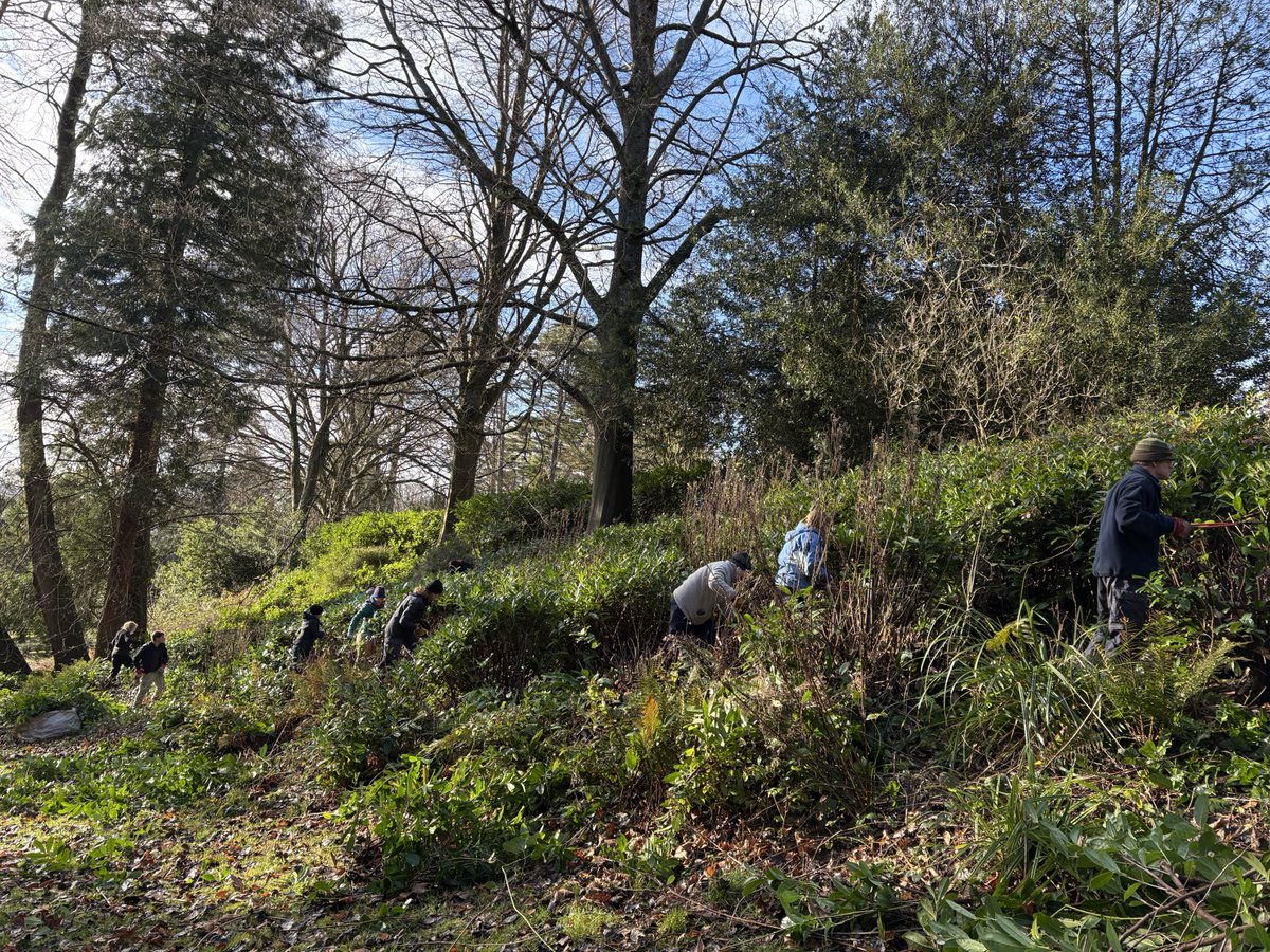 Jane Solomons tweet media