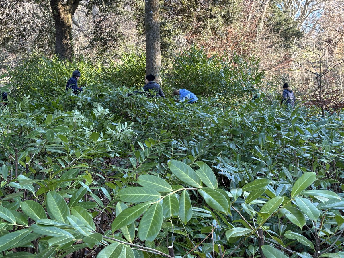 Jane Solomons tweet media