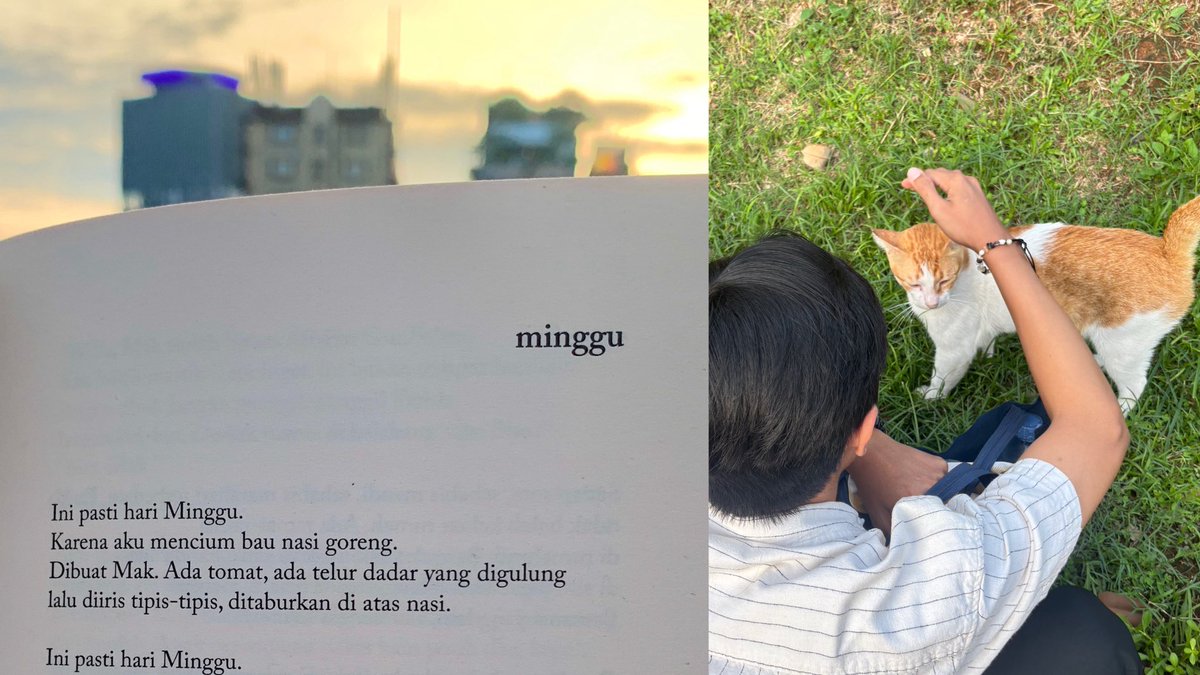 alunissace's tweet image. mengakhiri minggu dengan makan sate taichan, sorenya duduk di TIM, baca buku sambil liat sunset, terus makan bakmi sebagai mandatory tiap lagi di cikini, malamnya ngeliatin full moon sambil dikelilingin kucing-kucing gendut. &amp;lt;3
