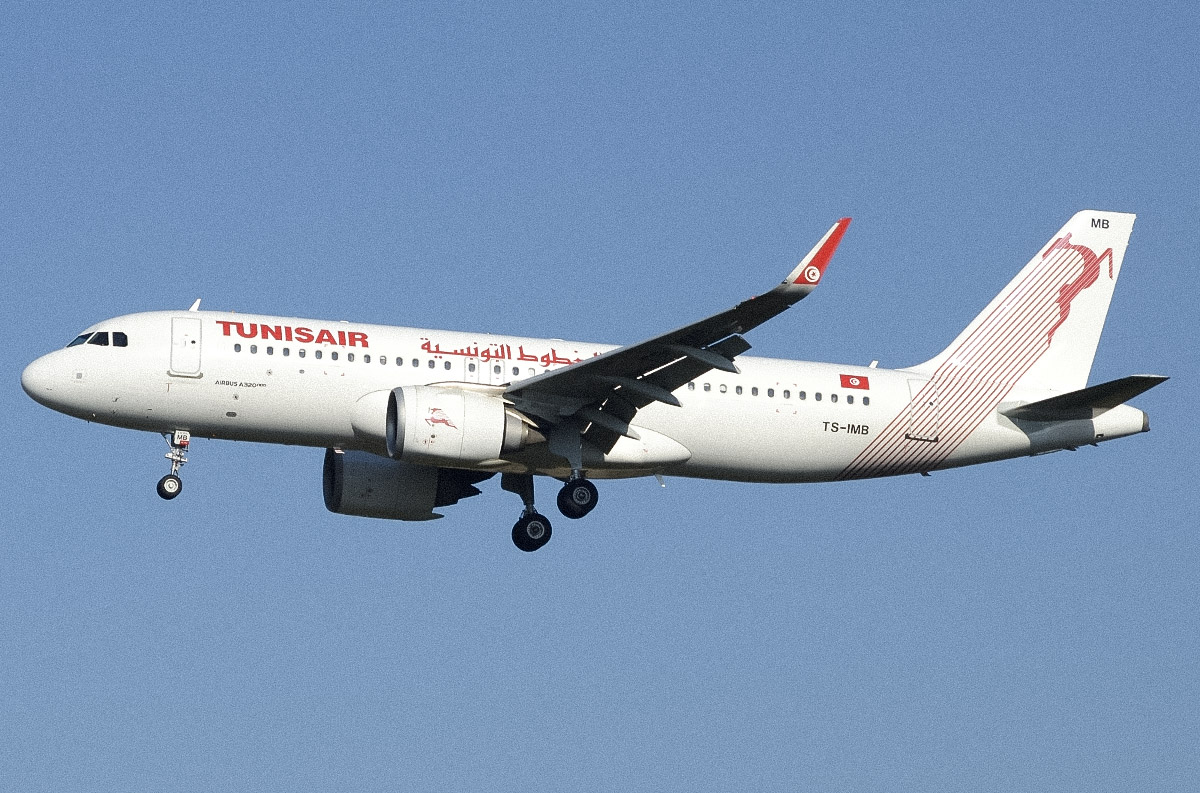 Noussour 🇹🇳 tweet media