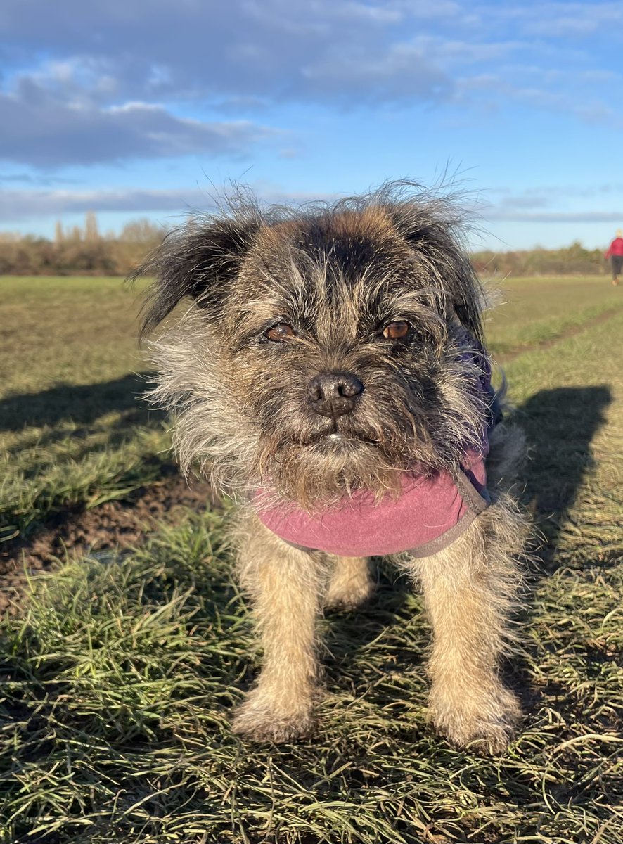 @TrudyTerrier OBE 👑 tweet media