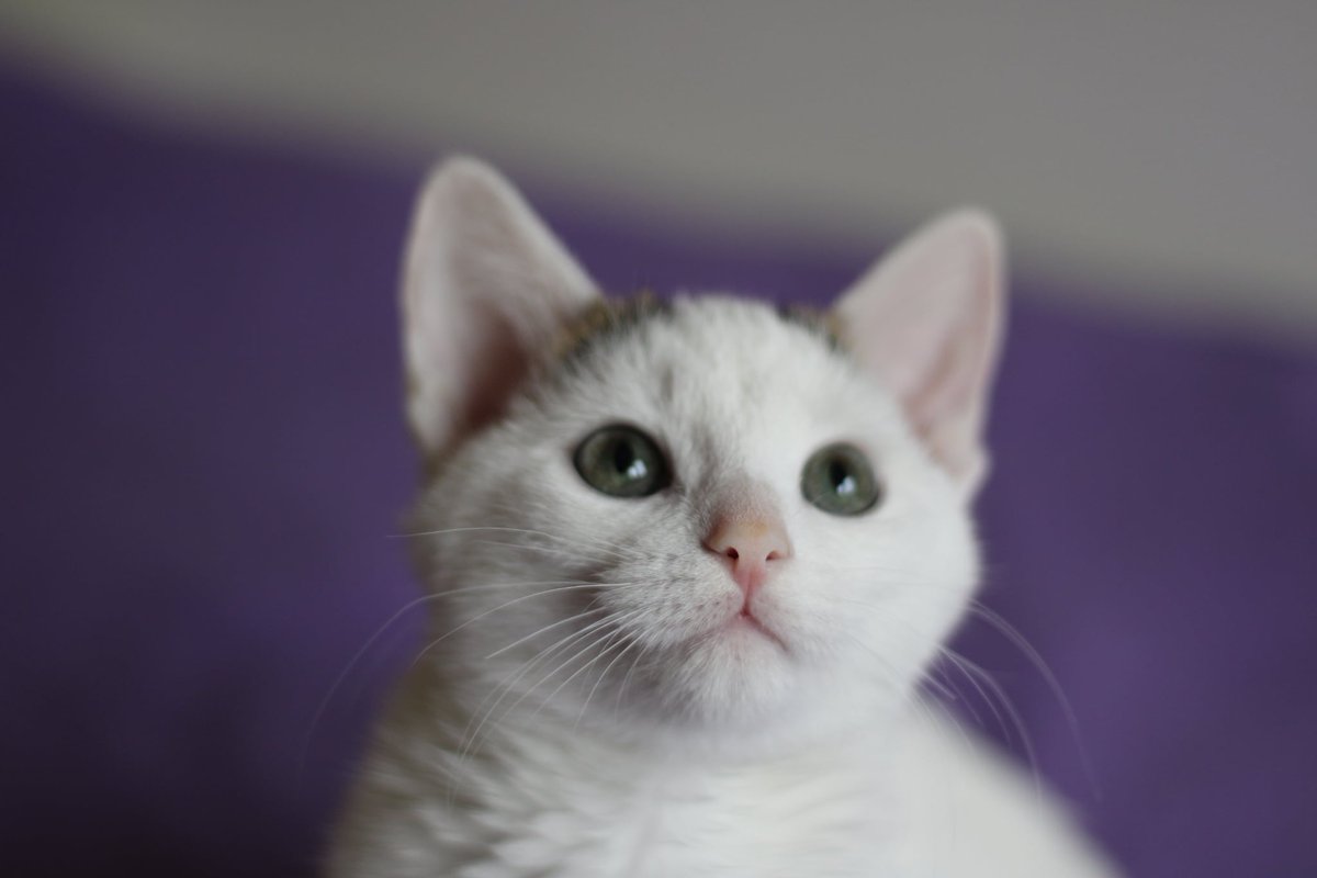 6 GODZIN DO KOŃCA ZBIÓRKI 💔 
TEDI walczy o życie, ale NIKT nie chce mu pomóc.

Ale wiem, że jest to tyle wspaniałych ludzi, i z Wami może się udać.

Naprawdę w to wierzę.

Proszę pomóżcie, podajcie dalej.

ratujemyzwierzaki.pl/tedii