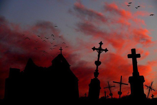 ArtVampyx's tweet image. 🩸♥️