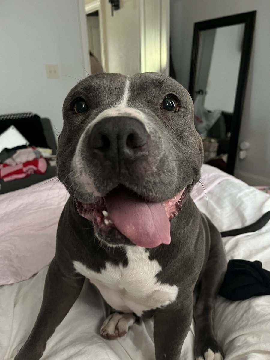 JasonPeterswps's tweet photo. Living her best life. Gloria https://t.co/KSNFRUXe0A
