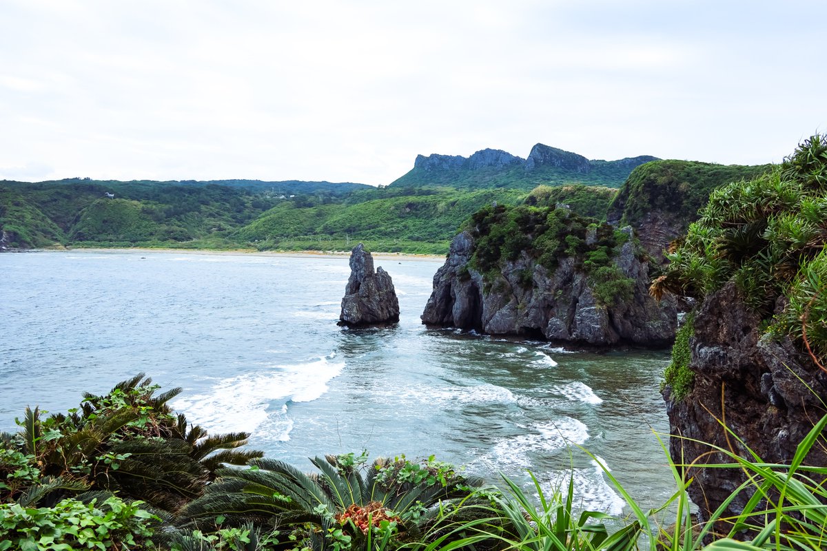 I feel like I wandered into a prehistoric world