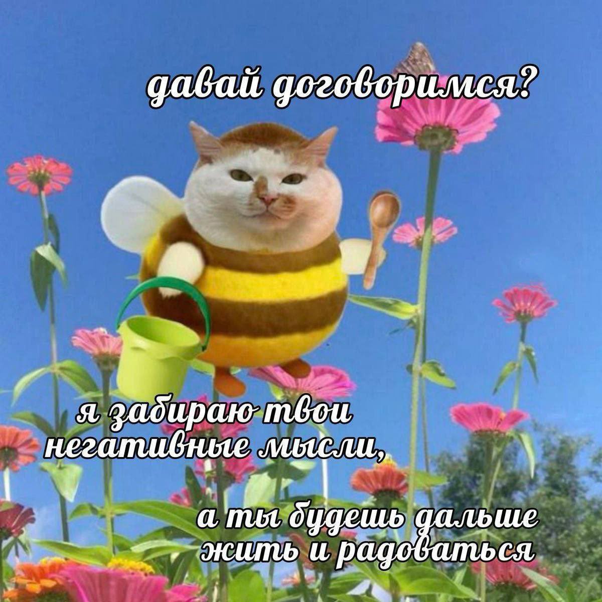 Ты пахнешь пожарами и алкоголем (@nebobrishka) on Twitter photo 