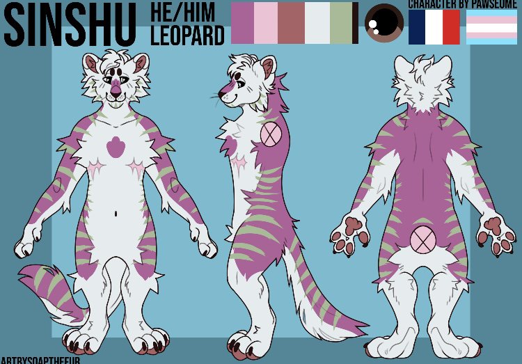 🐆Sinshu🌙 tweet media