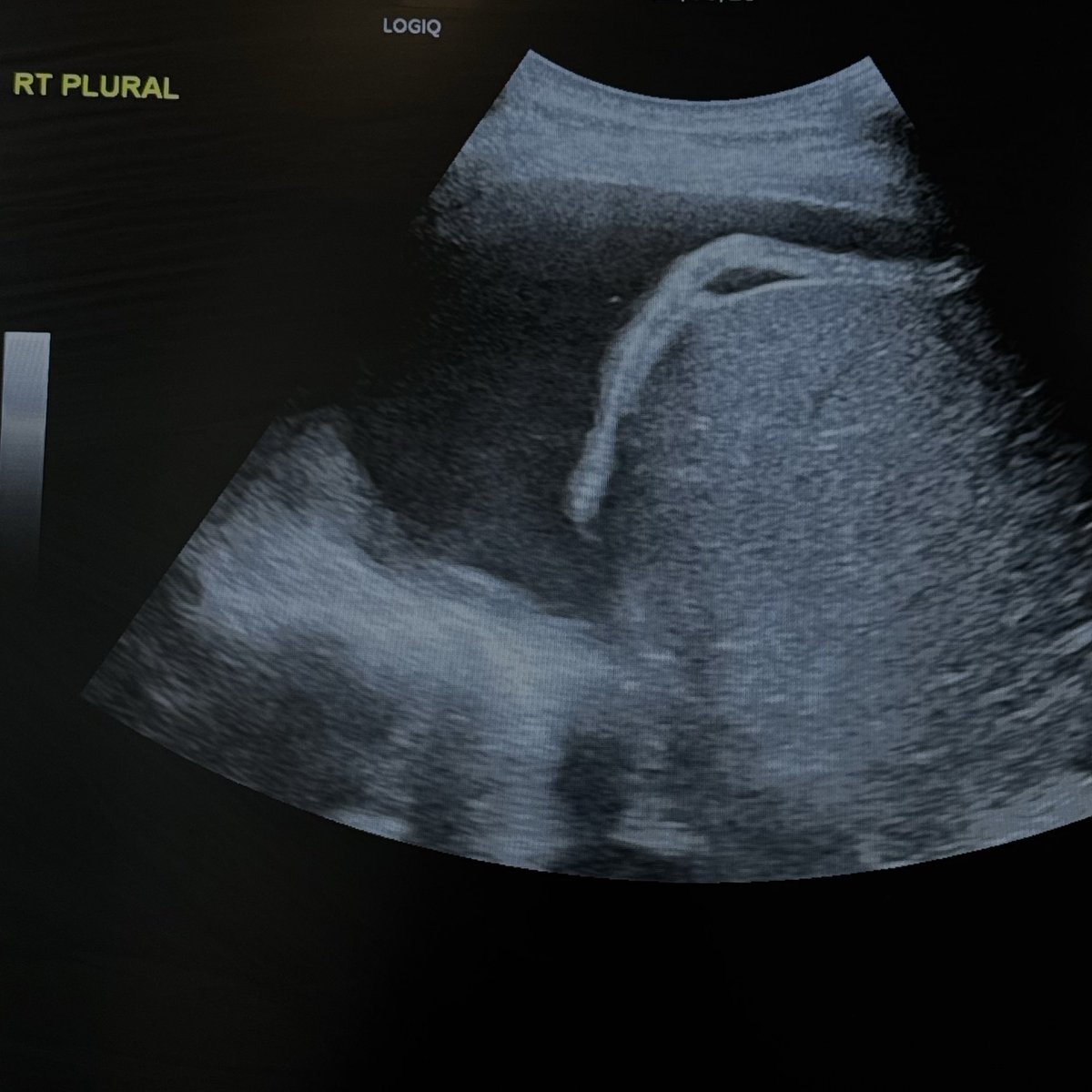 غَـالية ☢︎ tweet media