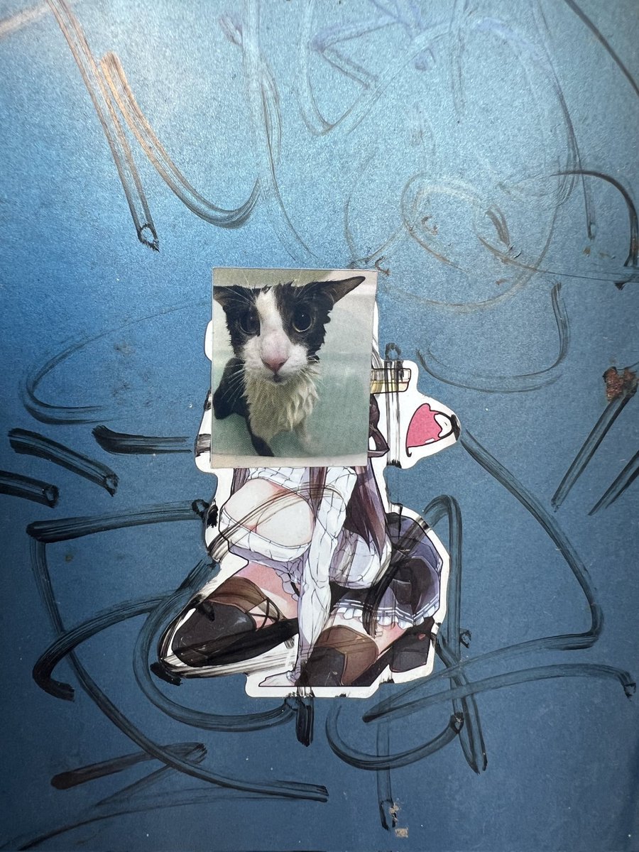 SogPropaganda's tweet image. 4 days since we've been in 2026 and we already have soggy cat anime girl 😧

(credit to @elyjelli)

Tucson, Arizona, USA 🇺🇸