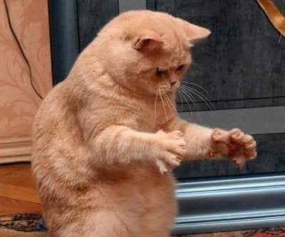 bonft67's tweet image. Why do you want to marry our daughter 

Me: